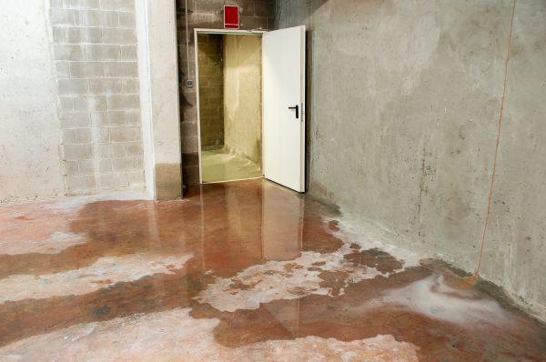 Cost of Wet Basement Repair in Maryville